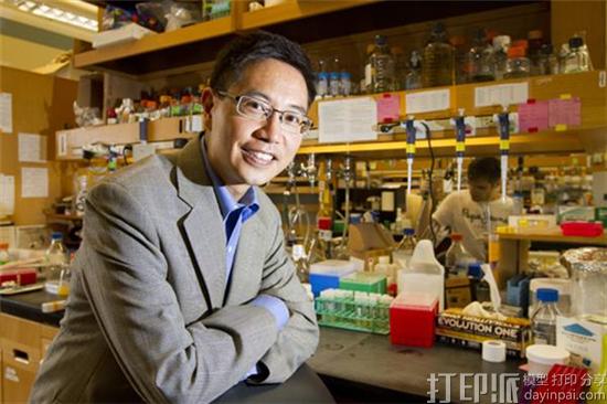 波士顿大学开发出3D打印注入有细胞的补丁技术 可用来治疗缺血