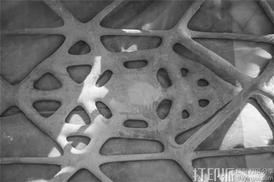 苏黎世联邦理工学院团队凭借3D打印船只摘第26届水泥轻舟赛桂冠