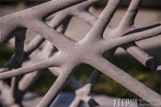 苏黎世联邦理工学院团队凭借3D打印船只摘第26届水泥轻舟赛桂冠