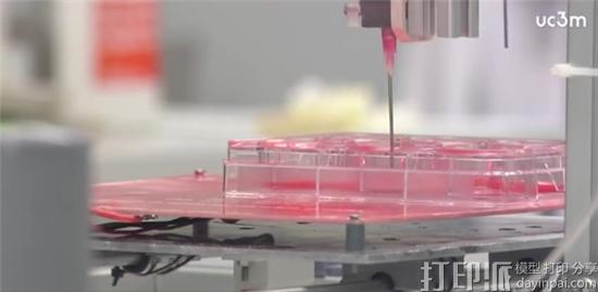 西班牙科学家在3D打印骨和软骨组织方面取得最新进展