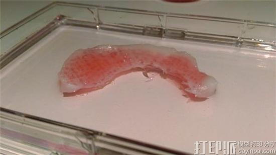 西班牙科学家在3D打印骨和软骨组织方面取得最新进展
