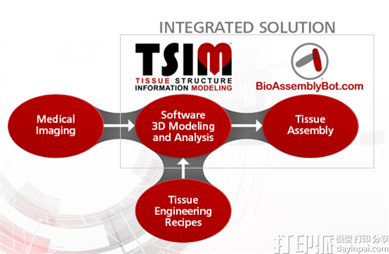 Advanced Solutions开发出可3D打印器官的新生物3D打印机BioAssemblyBot