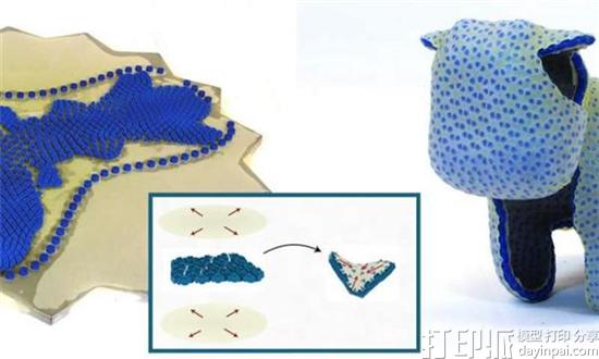 奥地利研究人员开发出将2D模板自动变形成3D模型的新3D打印技术