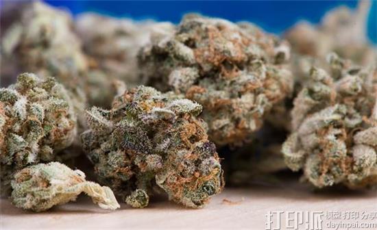 大麻行业姐妹花专家开发出可食用的大麻3D打印线材Potential Rope