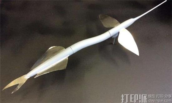 3D打印助力东海大学研究人员了解飞鱼的飞行行为