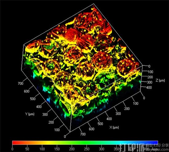 新加坡研究人员开发出使用金纳米棒控制生物打印的新NIR激光3D打印技术