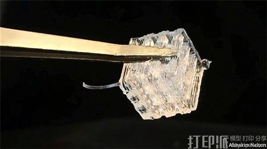 华盛顿大学团队开发出快速、低成本的3D打印酵母生物反应器