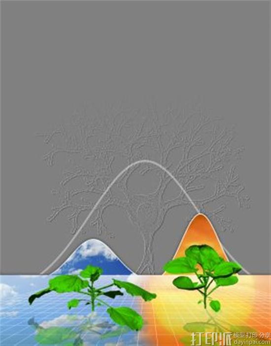 生物学家借住3D扫描发现植物和人类大脑生长模式的相关联系