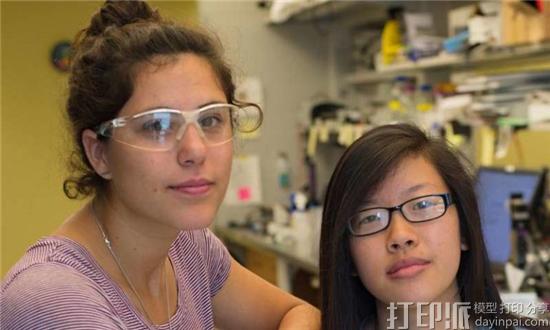 美国莱斯大学和贝勒医学院生物3D打印出功能性毛细血管