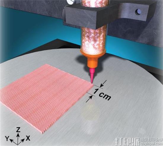 美国科学家开发出具有形状记忆的3D打印硅树脂材料