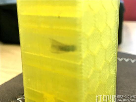 21世纪的化石：苍蝇飞入蜂窝状3D打印模型并长眠其中.jpg