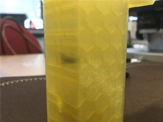 21世纪的化石：苍蝇飞入蜂窝状3D打印模型并长眠其中