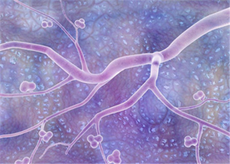蓝光发展生物3D打印技术创造无尽可能