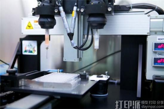 怎么区分生物3D打印和非生物3D打印？