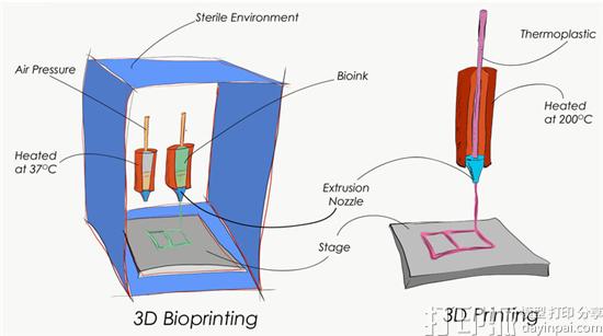 QUT的研究表明生物3D打印墨水对药物研发有很大帮助