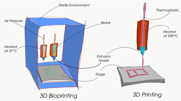 QUT的研究表明生物3D打印墨水对药物研发有很大帮助