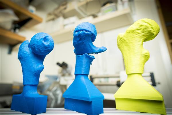 研究人员和医生使用3D打印模型将髋关节手术时间缩短25％