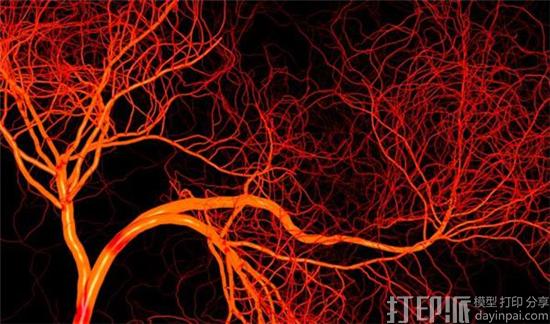 研究人员利用3D生物打印血管化肝组织提高药物毒性测试的准确性