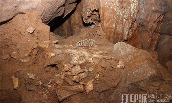 慈善组织利用3D打印技术复制英国史前洞穴中被盗的化石