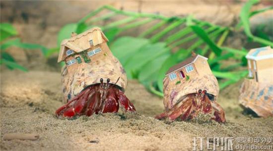 这创意太赞！ 英国房地产网站为寄居蟹3D打印寄居贝壳做广告