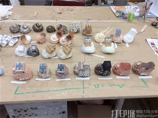 这创意太赞！ 英国房地产网站为寄居蟹3D打印寄居贝壳做广告