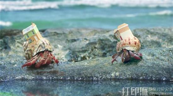 这创意太赞！ 英国房地产网站为寄居蟹3D打印寄居贝壳做广告