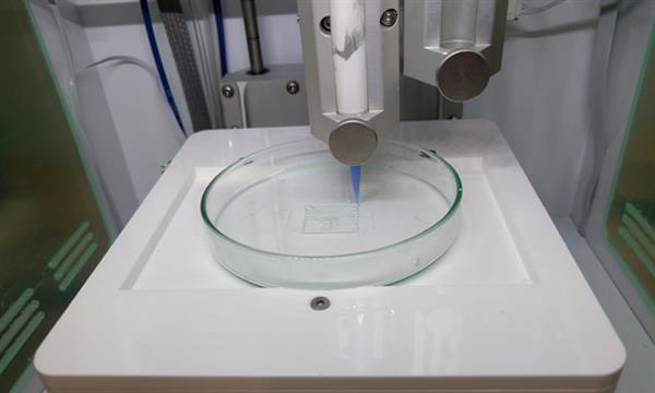 3D打印骨植入物首次不被活体排斥 成功融入甚至形成了骨髓