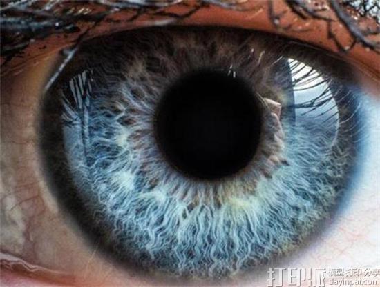 西班牙科学家欲在5年内用3D生物打印来创建替代性角膜