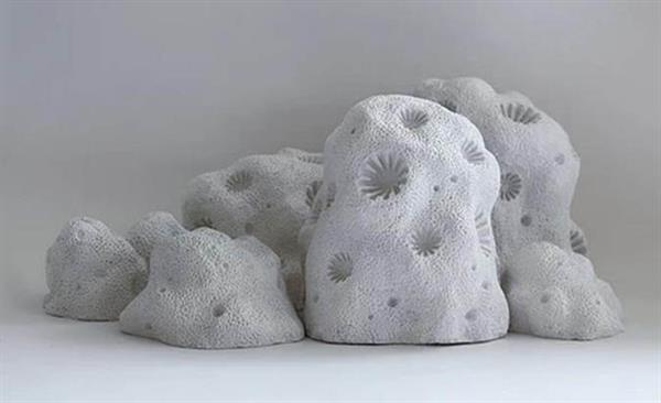 自然爱好者制作3D打印珊瑚骨架复制品 可帮助珊瑚的成长