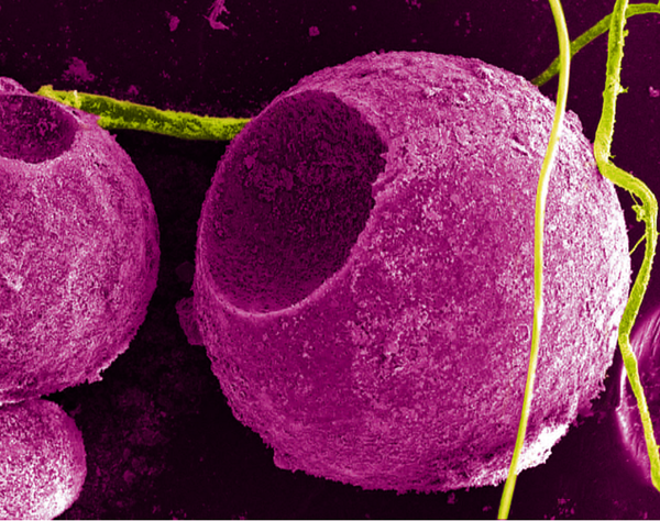 Quantum Materials开发为3D打印件提供“隐形水印”的方法