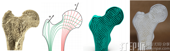 研究人员开发出3D打印多孔填充结构模型的新方法 研究人员开发出3D打印多孔填充结构模型的新方法