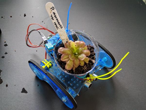 CSW推出能载着绿植去寻找阳光和新鲜空气的3D打印机器人Plantoids