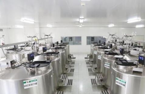 脂肪干细胞配合3D打印技术 再造身体器官或成可能