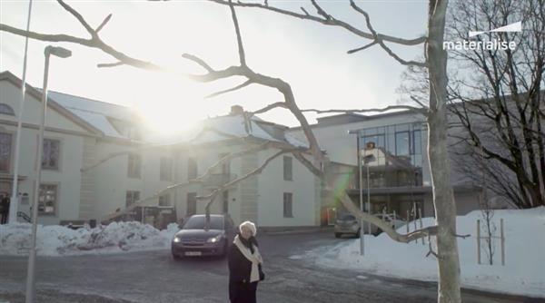 艺术家为挪威Ullerntunet养老院制作四米高的3D打印树雕