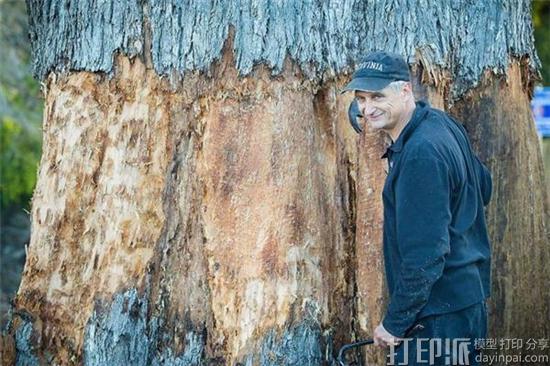 艺术家用全彩纸张创造出3D打印树雕塑 以呼吁人们爱护自然