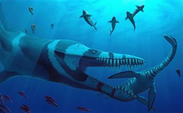 科学家利用3D打印研究出蛇颈龙如何在水中游动的秘密