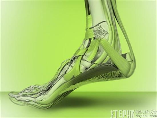 惠普宣布推出面向零售市场的3D打印鞋定制平台FitStation