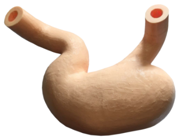 解析：硅胶3D打印技术在医学教具中的运用