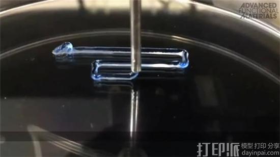 韩国研究员开发出新的可3D打印的混合生物墨水 帮助治疗缺血性血管疾病