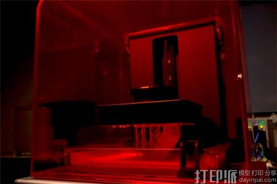 动物园用3D打印修复地犀鸟受损的鸟喙 使其恢复进食能力
