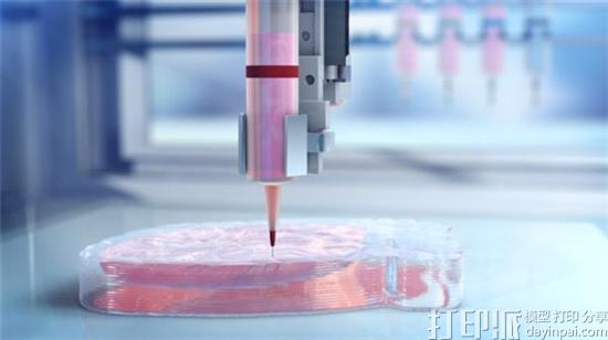 BioLife4D申请募集5000万美元资金 用于将3D打印心脏商业化 BioLife4D申请募集5000万美元资金 用于将3D打印心脏商业化