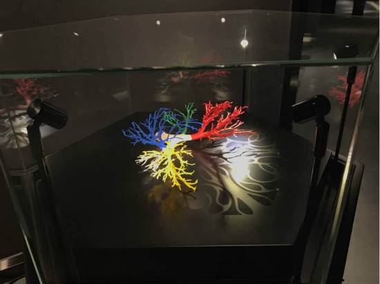 钟世镇教授3D打印人体血管系统收藏进中国3D打印文化博物馆