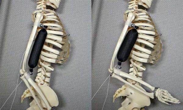 哥伦比亚大学科学家开发出比人体肌肉强三倍的3D打印合成软肌肉