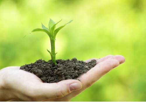 打破材料瓶颈限制 3D打印土壤“戏路”很广