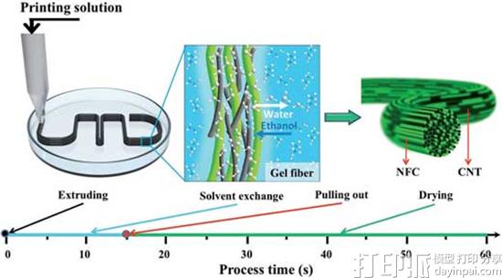 结合CNT和NFC 马里兰大学工程师3D打印出强大的导电微纤维