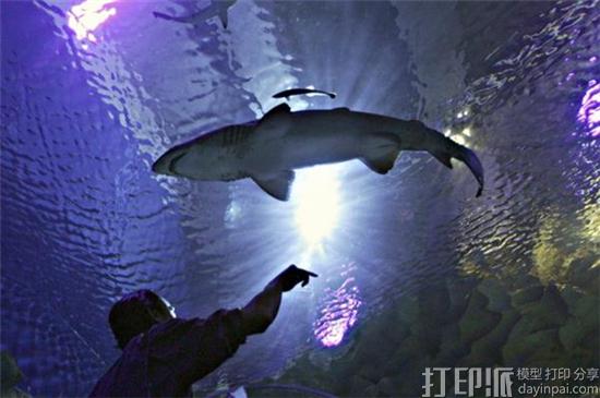 以鮣鱼为灵感 研发团队制造可吸附于大型海洋生物的3D打印机器人