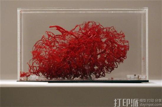 荷兰科学家研究发现3D打印血管或成维持实验室组织生长的关键 荷兰科学家研究发现3D打印血管或成维持实验室组织生长的关键