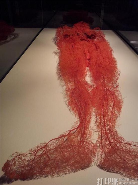 荷兰科学家研究发现3D打印血管或成维持实验室组织生长的关键 荷兰科学家研究发现3D打印血管或成维持实验室组织生长的关键