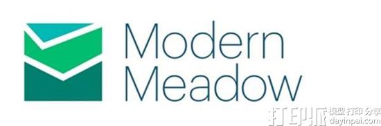 Modern Meadow研发出生物3D打印的皮革Zoa