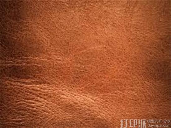 Modern Meadow研发出生物3D打印的皮革Zoa